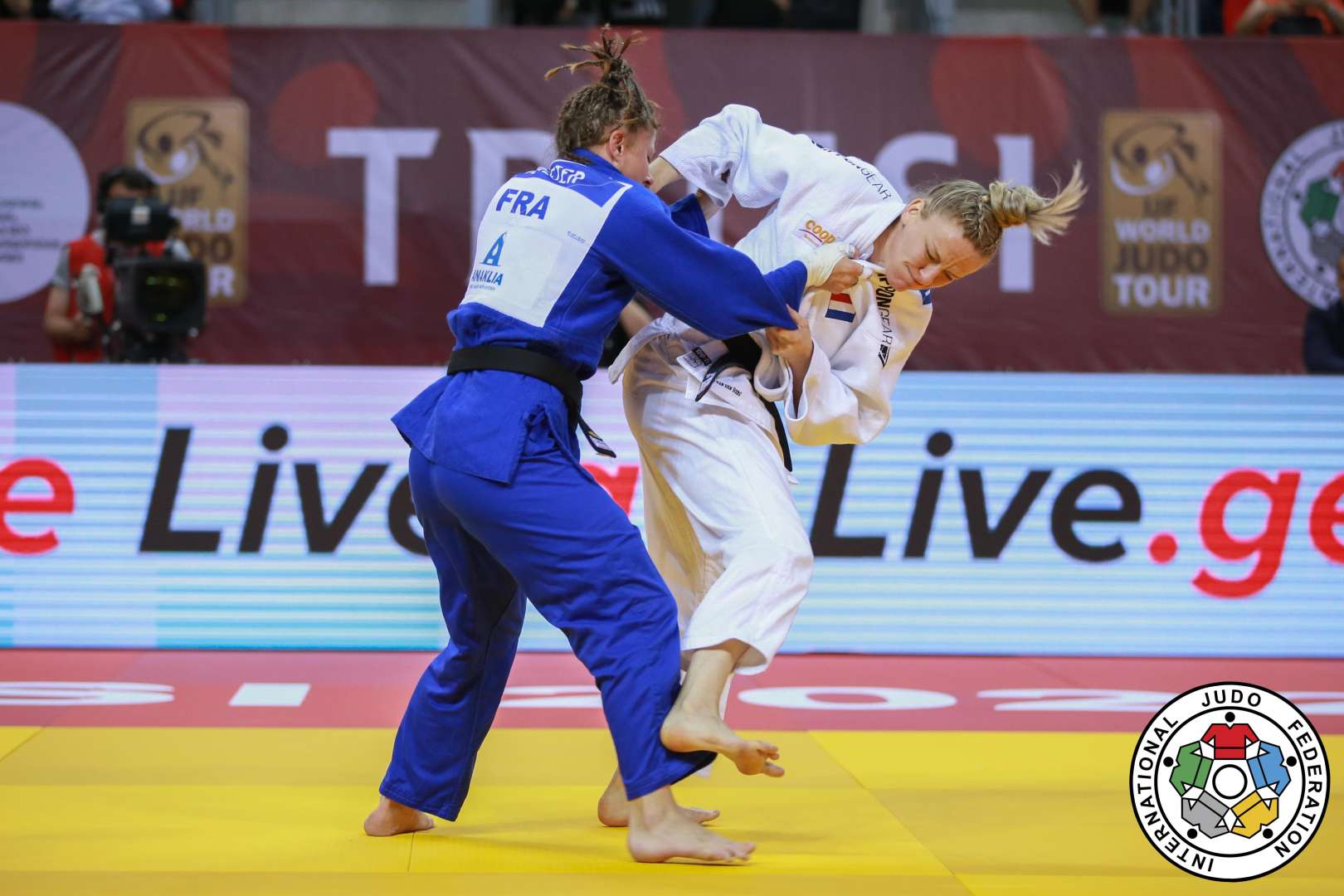 judo live stream