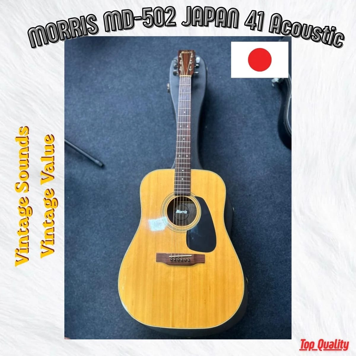 Morris MD-502 Dreadnought Acoustic | Pan's Guitar | Pan's Guitar
