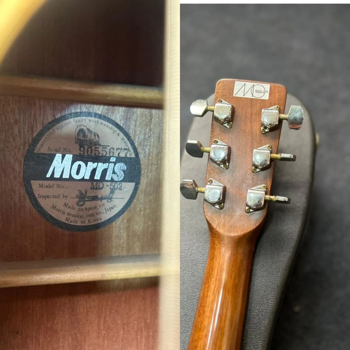 Morris MD-502 Dreadnought Acoustic | Pan's Guitar | Pan's Guitar