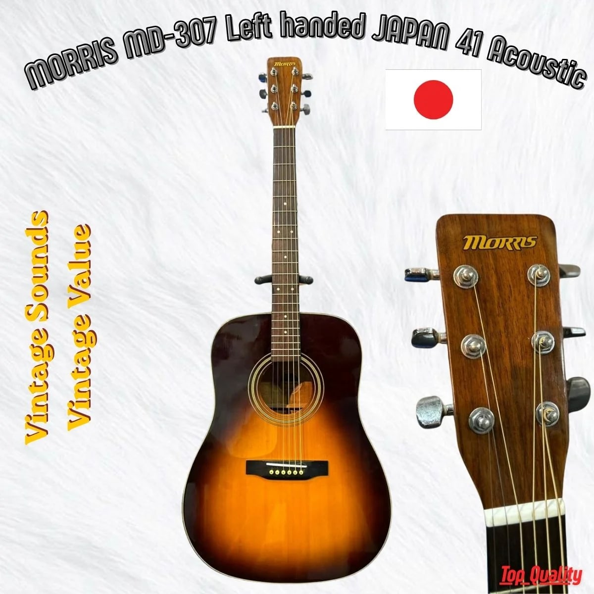 Morris MD-502 Dreadnought Acoustic | Pan's Guitar | Pan's Guitar