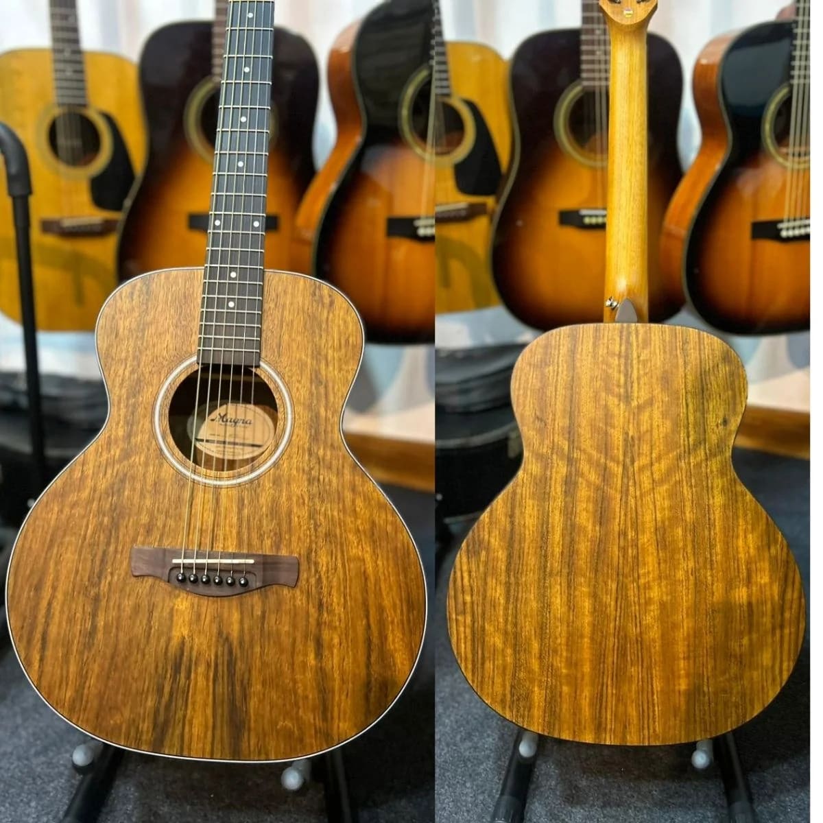 Morris MD-502 Dreadnought Acoustic | Pan's Guitar | Pan's Guitar