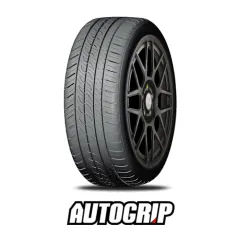 165/65R14 AUTOGRIP P308PLUS 79T