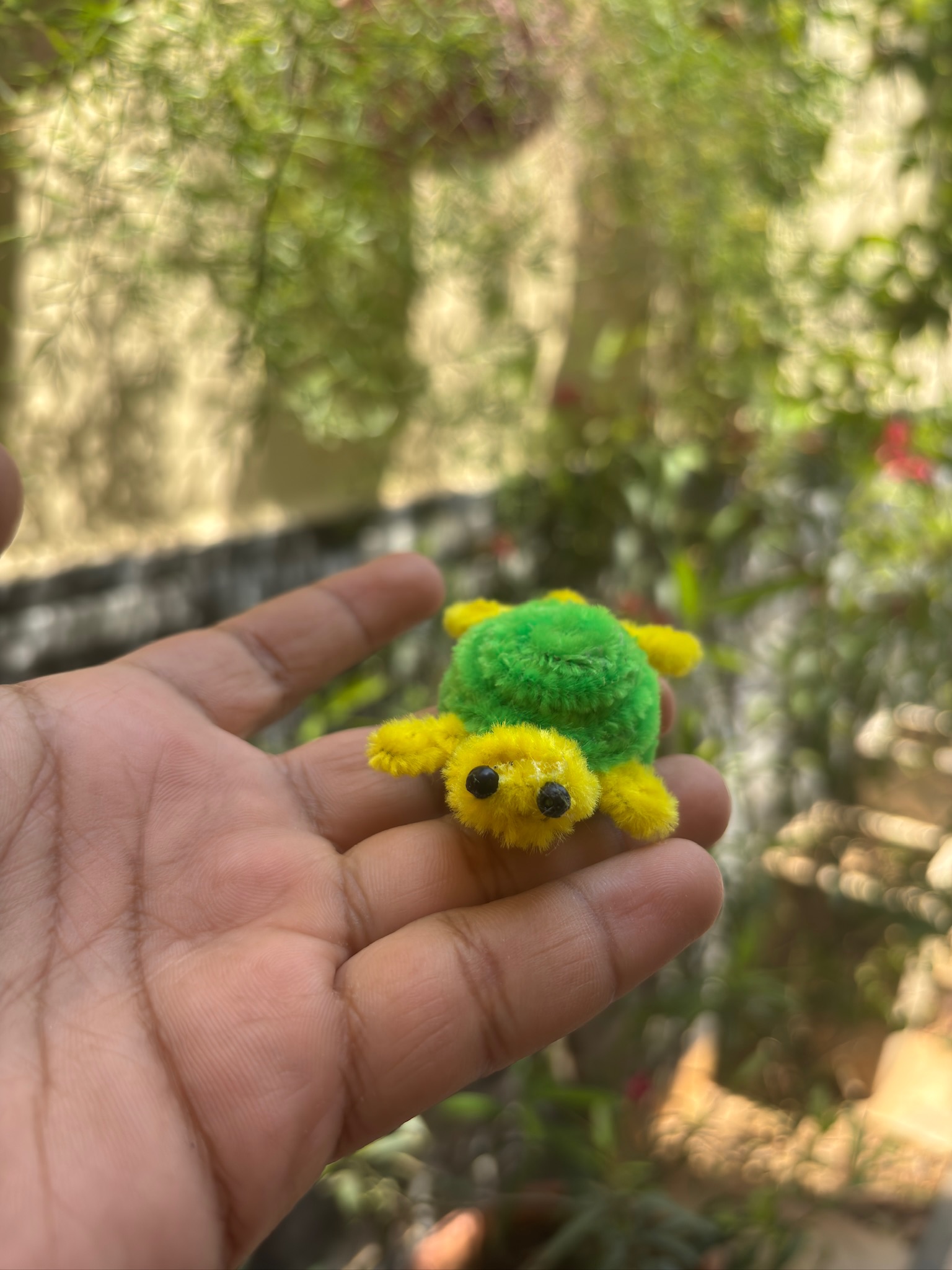 Turtle