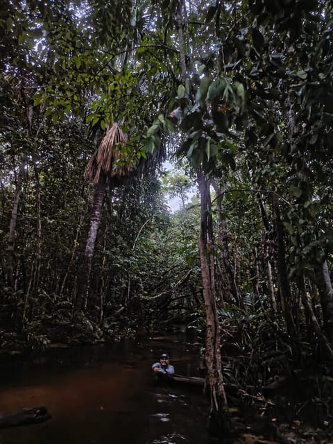 Selva Amazónica