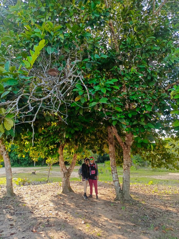 Cerros Mavecure