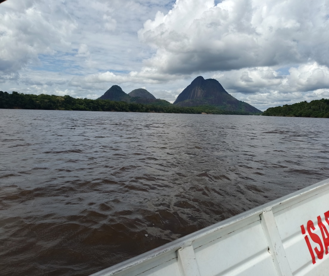 Estrella Fluvial de Inírida