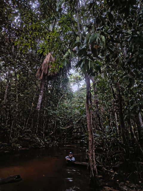 Selva Amazónica