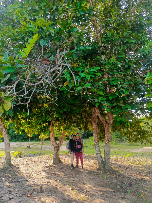 Cerros Mavecure