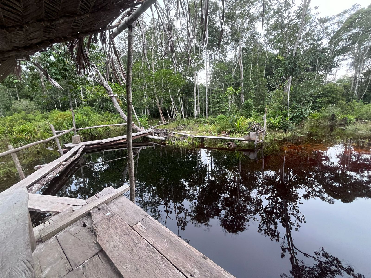 Caño Cheo