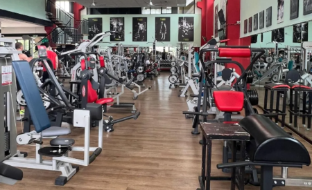 New Body Fitness