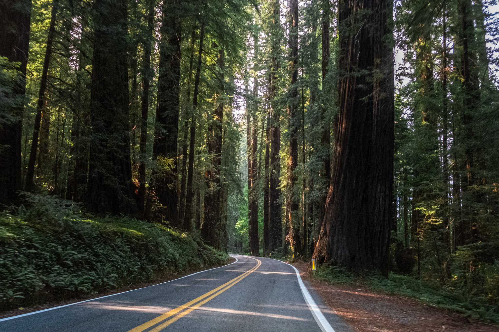 DSCF3178-Edit_os94dm