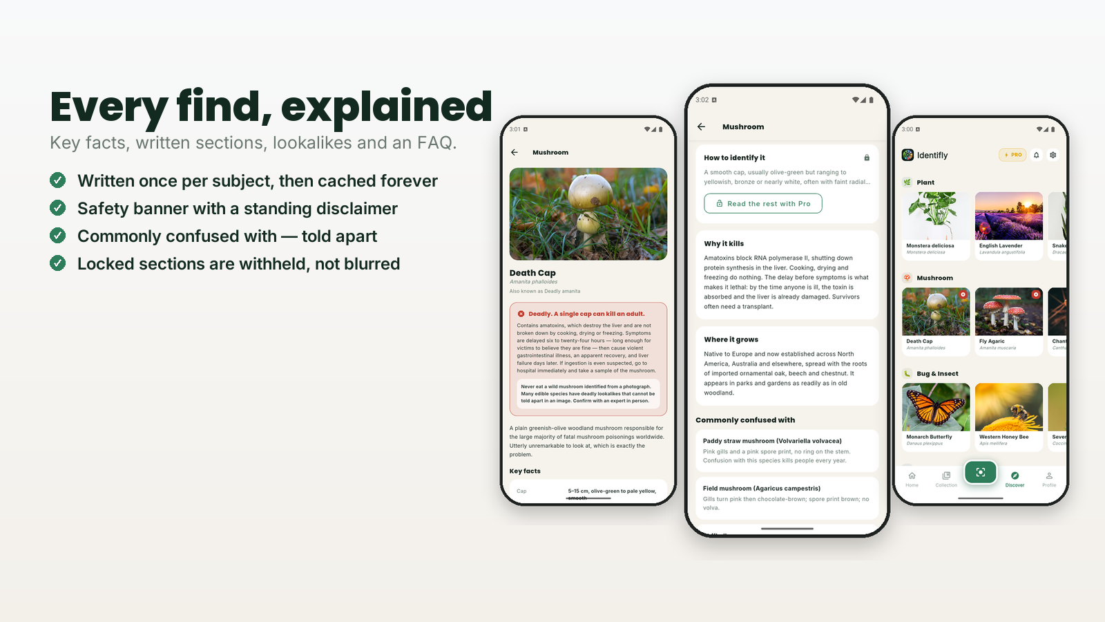 Identifly - Every find explained