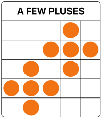 A FEW PLUSES