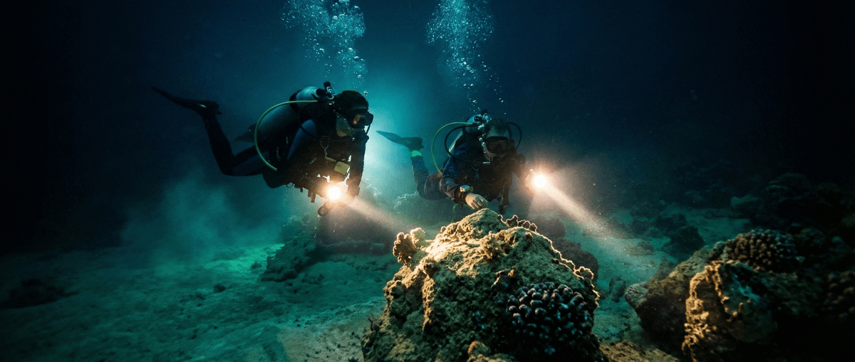 Torchlight on the reef