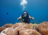 Coral gardens