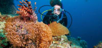 Marine life