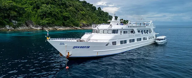 Koon 9 speedboat tender for island shuttles