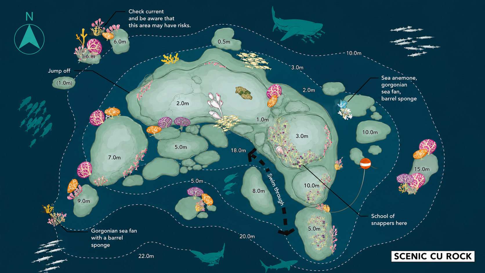 Dive map of Richelieu Rock showing pinnacle location