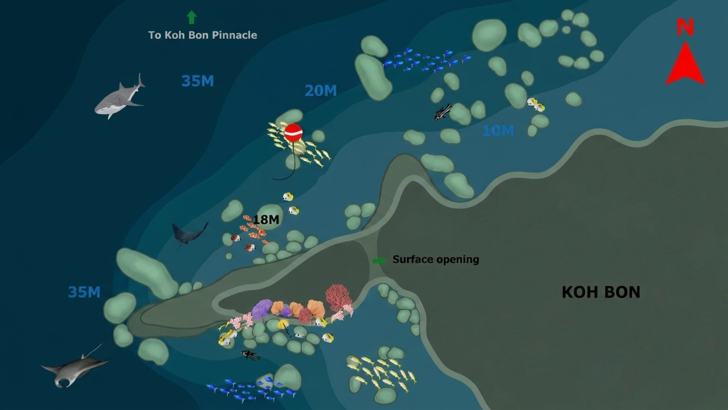 Koh Bon limestone wall and manta cleaning station