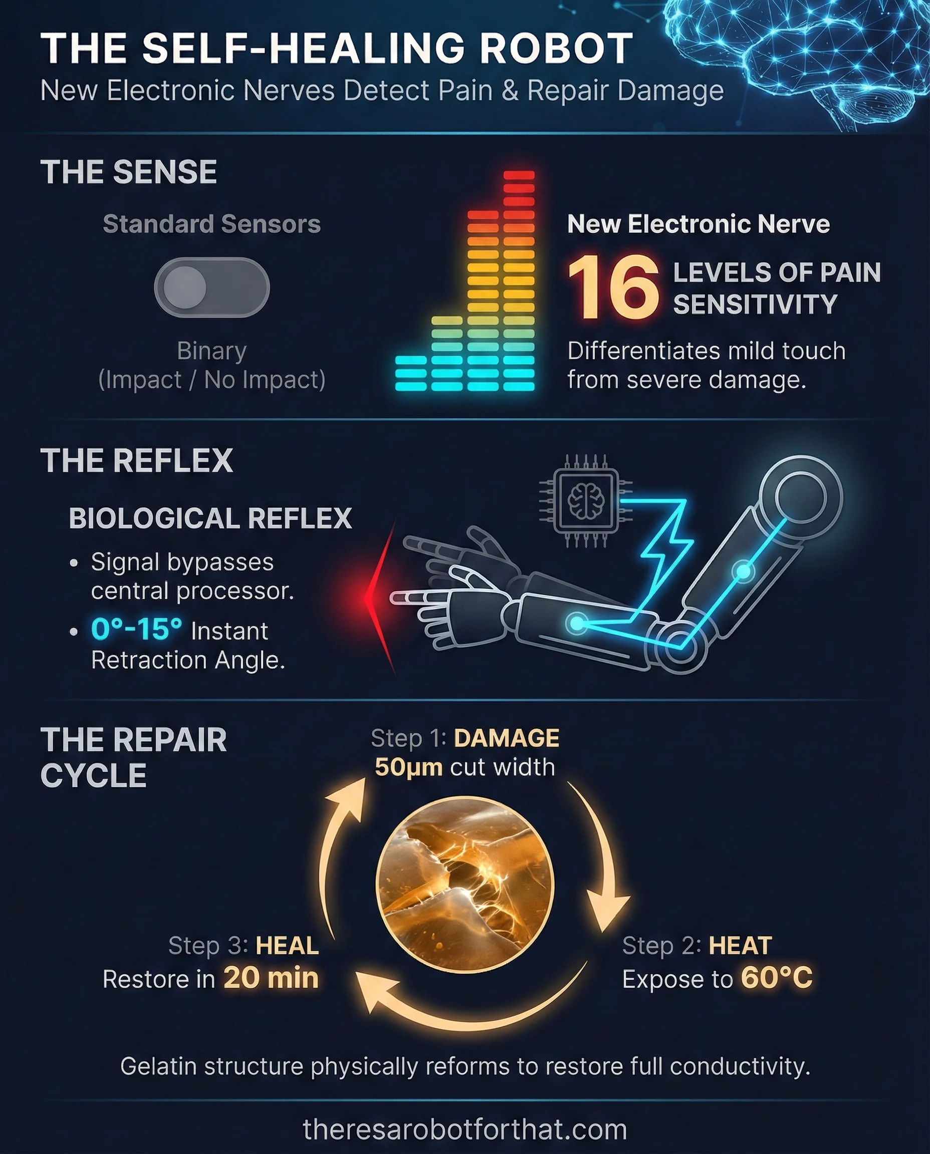 Researchers give robots 'pain' nerves for human-like reflexes