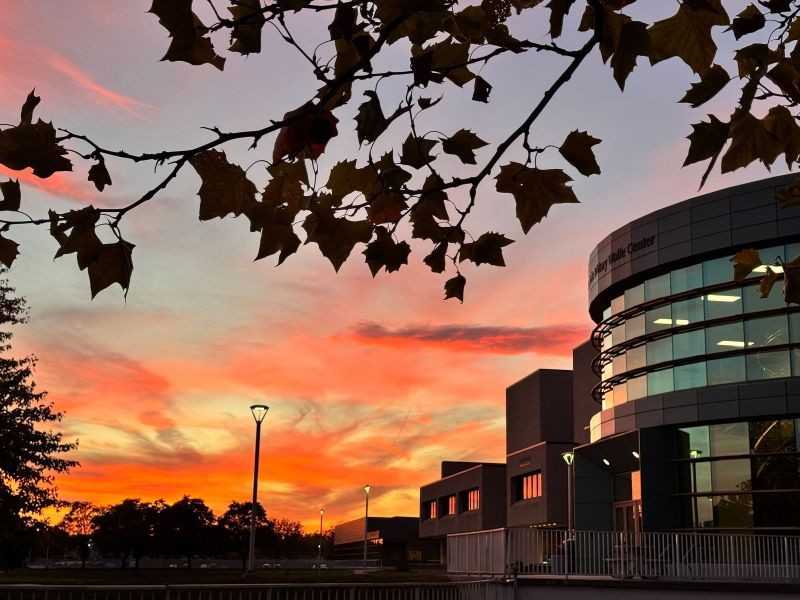 IITDM Students Collaboration and Learning