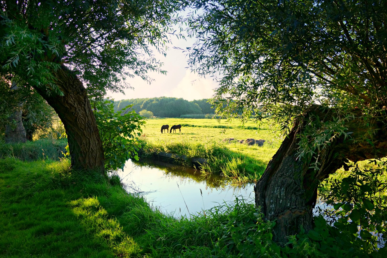 Afbeelding Duurzaamheid