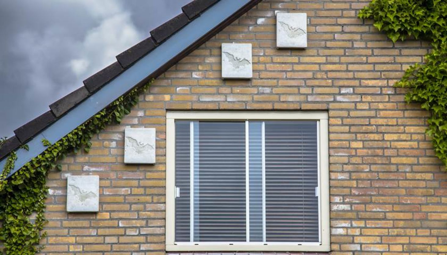 Afbeelding Natuurvriendelijk isoleren in Maasgouw