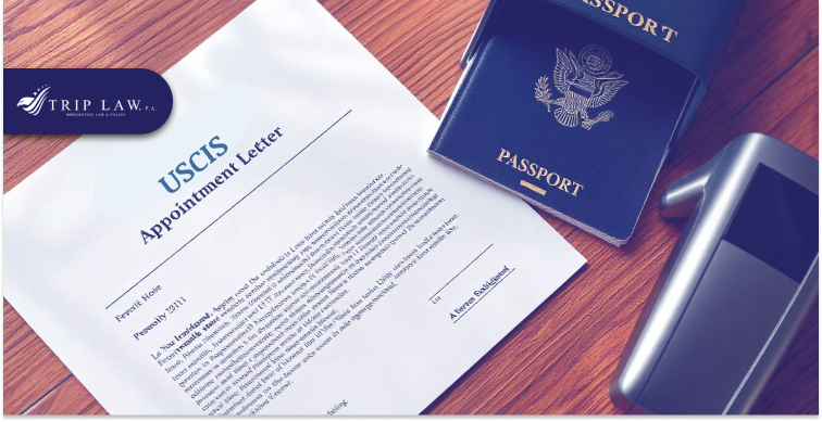 How Do I Navigate the EB-1 or EB-2 Application Journey While Waiting for Asylum?