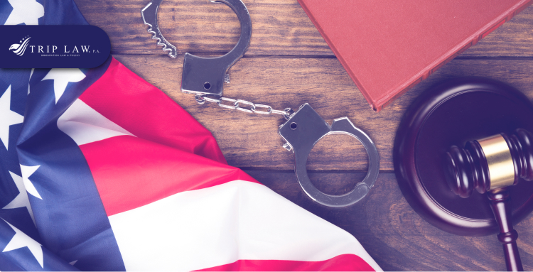 How to Fight Deportation from the US Save Your Immigration Status