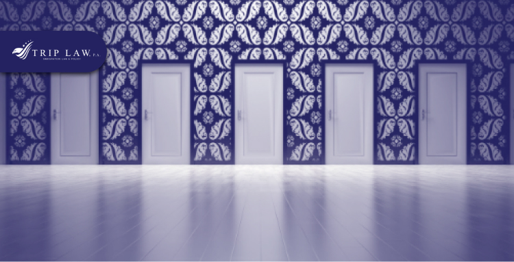What are the Options for Re-Entry and Rehabilitation?