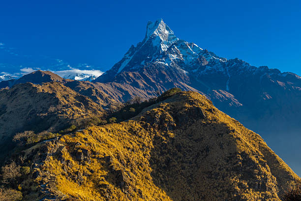 Mardi Himal Base Camp Trek Itinerary: Day-by-Day Guide (7 Days)