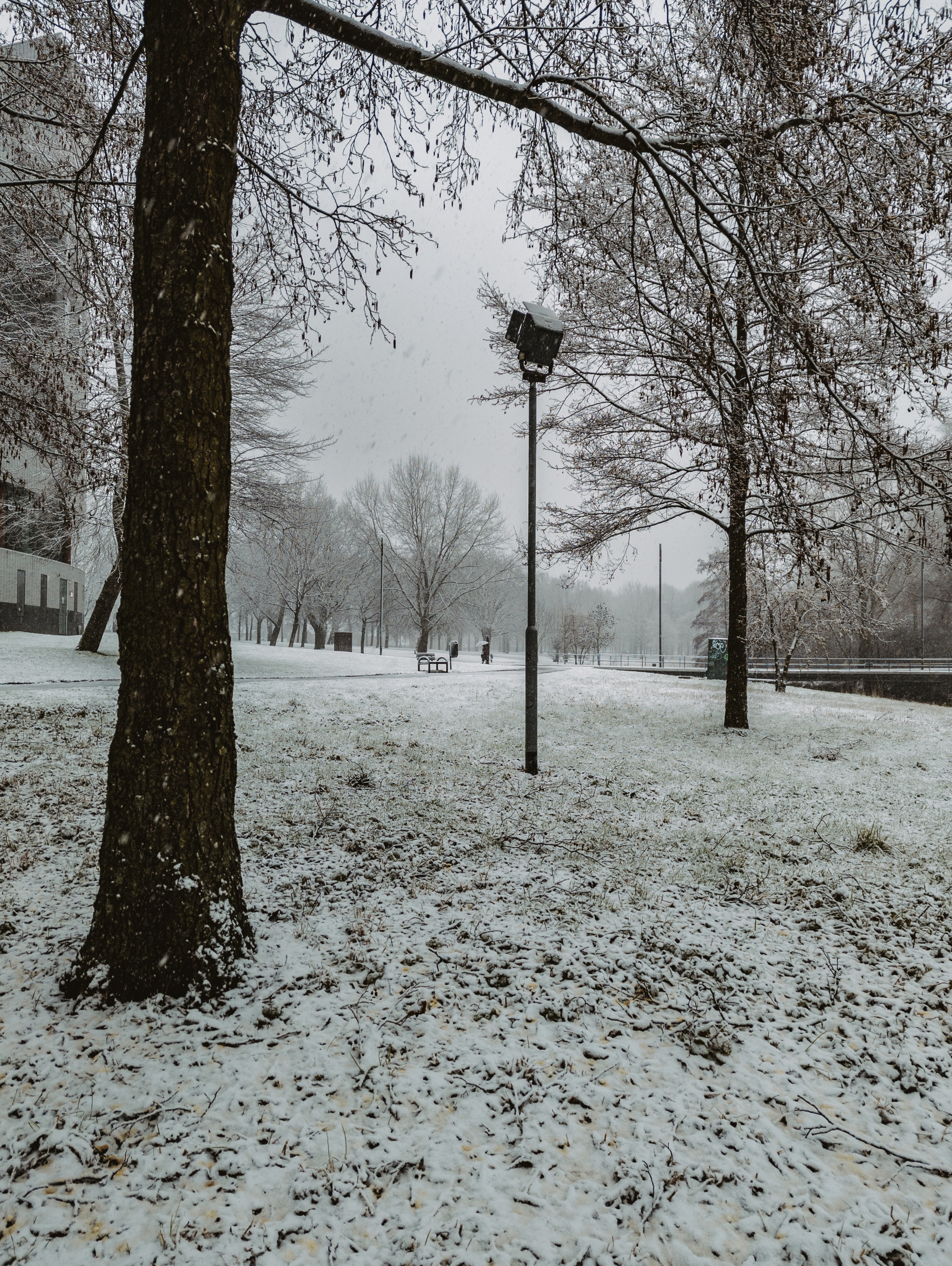 The campus during a snowy day