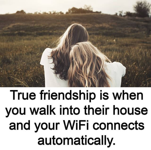 funny friendship quotes