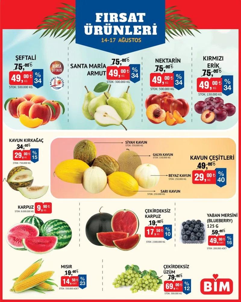 Bim aktüel katalog 14 Ağustos