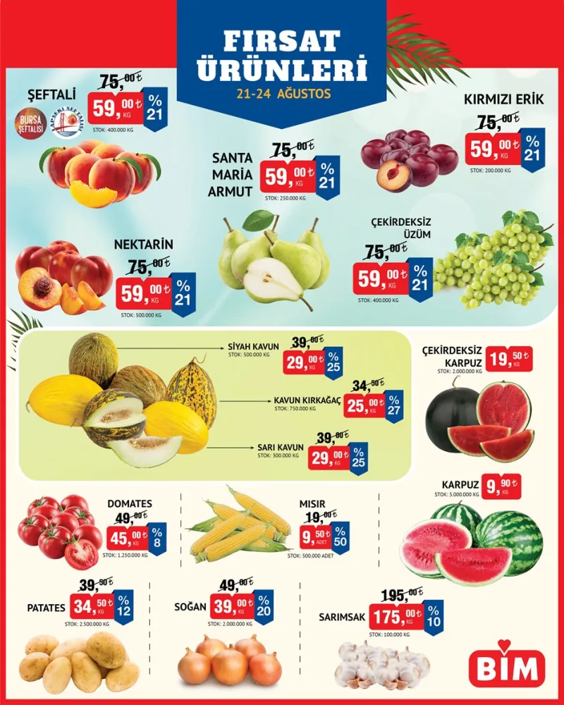 Bim 21 Ağustos aktüel katalog