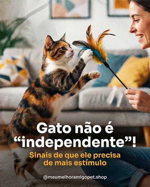 Post gerado pela Publiko