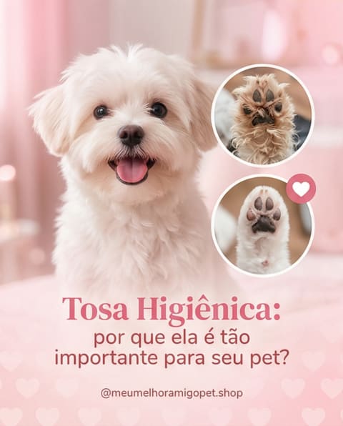 Post gerado pela Publiko