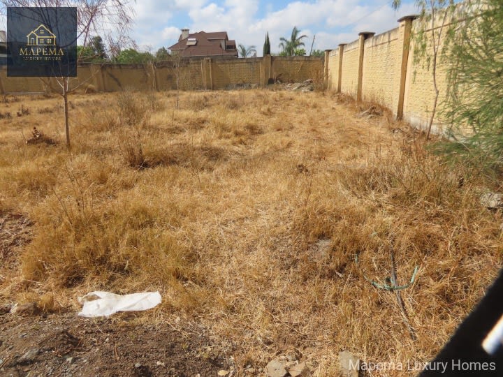1/2 acre for sale in karen,fair acres road, photograph 3