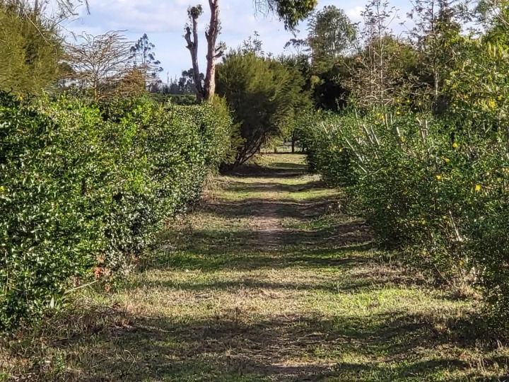 1 acre for sale in Nanyuki -6.5m