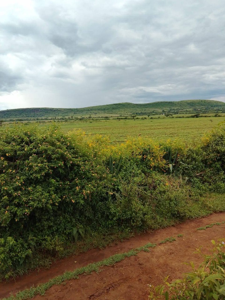 300 Acres for lease in Nakuru 15k per acre 