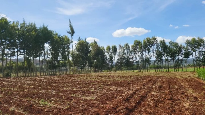 2.5 acres for sale in Laikipia county -7m