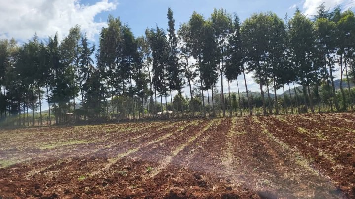 2.5 acres for sale in Laikipia county -7m