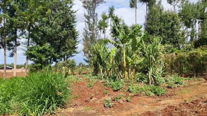 2.5 acres for sale in Laikipia county -7m