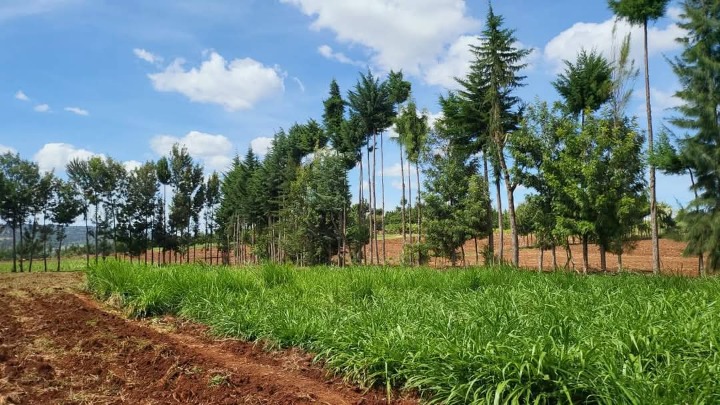 Land_plot for sale at Laikipia -nyahururu road 