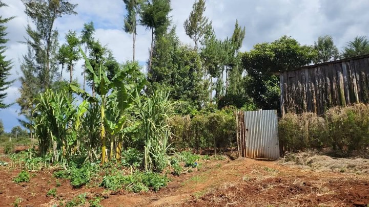 2.5 acres for sale in Laikipia county -7m