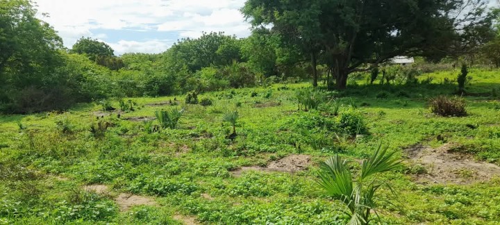 1/8 acre plot for sale in Lamu hidi town -950k