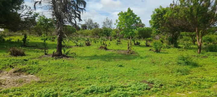 Land_plot for sale at Hidi town 