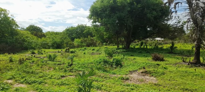 1/8 acre plot for sale in Lamu hidi town -950k