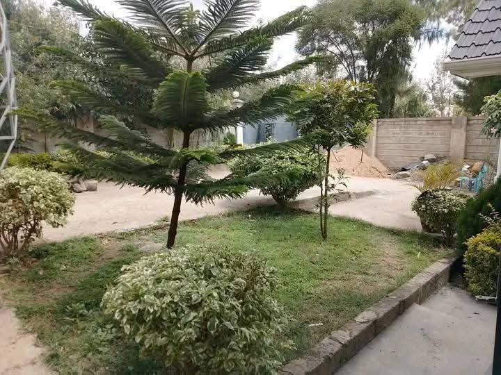 3 bedroom house for rent in Isiolo town -23k