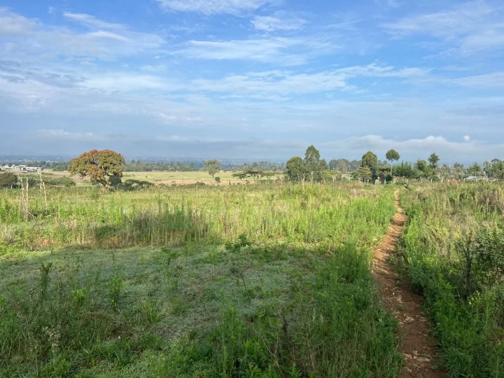 18.9 acres for sale Nakuru Dundori forest area -85.5m
